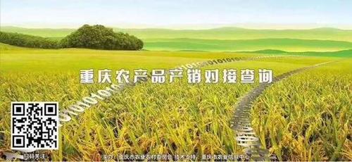 守好"菜篮子" 重庆农产品产销对接查询平台上线